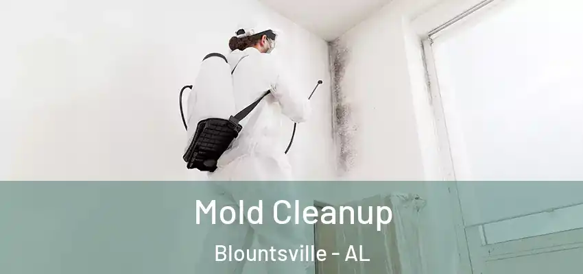 Mold Cleanup Blountsville - AL