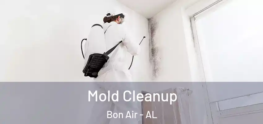  Mold Cleanup Bon Air - AL