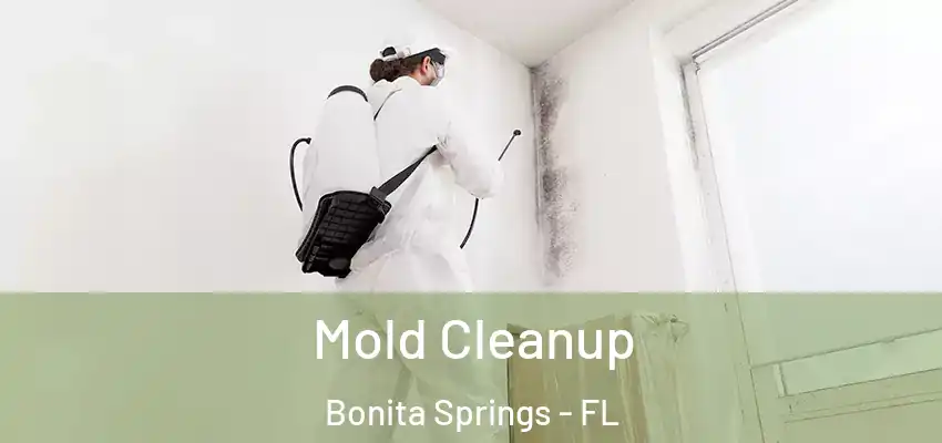  Mold Cleanup Bonita Springs - FL