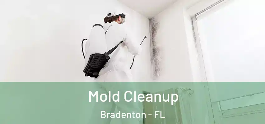Mold Cleanup Bradenton - FL