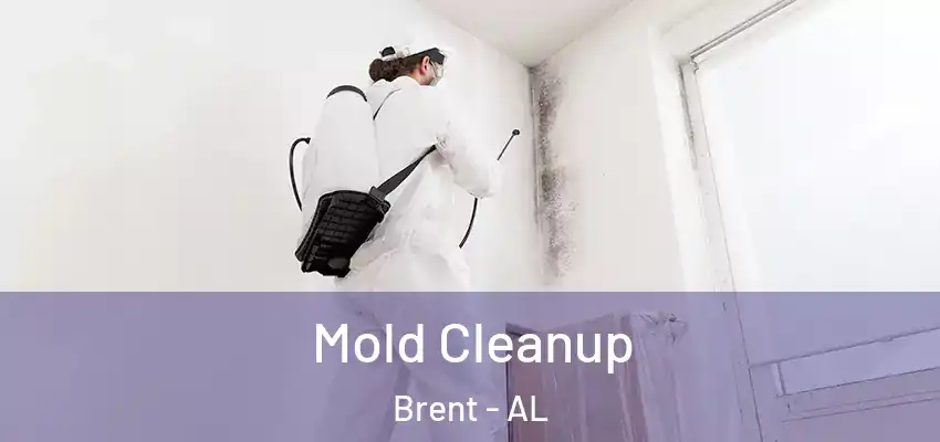 Mold Cleanup Brent - AL