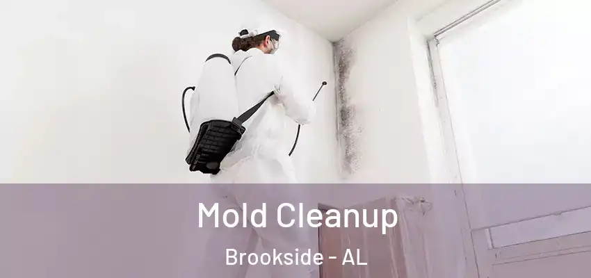 Mold Cleanup Brookside - AL