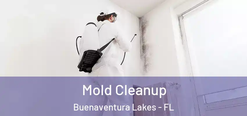  Mold Cleanup Buenaventura Lakes - FL