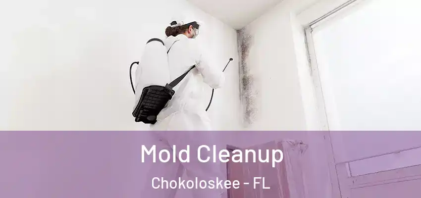 Mold Cleanup Chokoloskee - FL