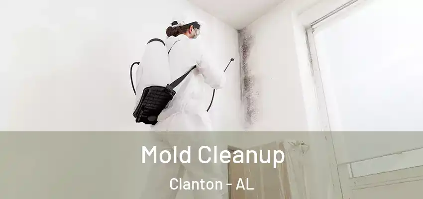Mold Cleanup Clanton - AL