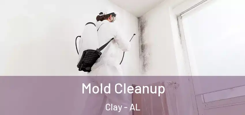 Mold Cleanup Clay - AL