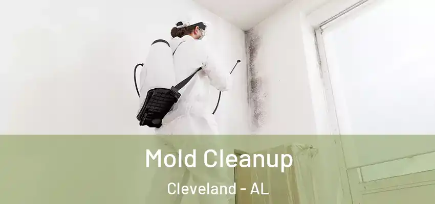 Mold Cleanup Cleveland - AL