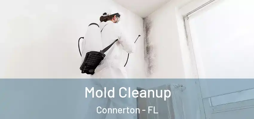 Mold Cleanup Connerton - FL