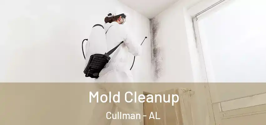Mold Cleanup Cullman - AL