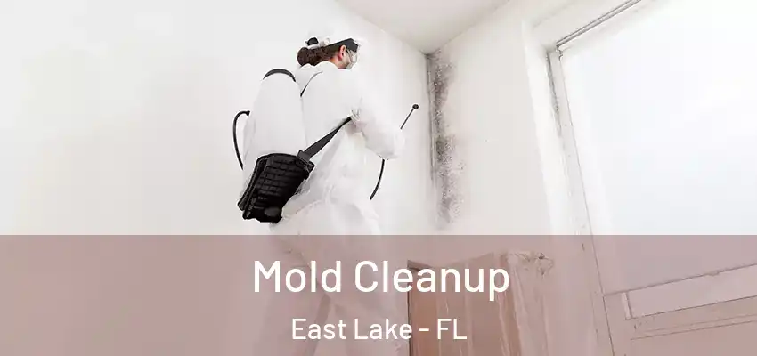  Mold Cleanup East Lake - FL