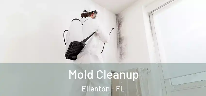  Mold Cleanup Ellenton - FL