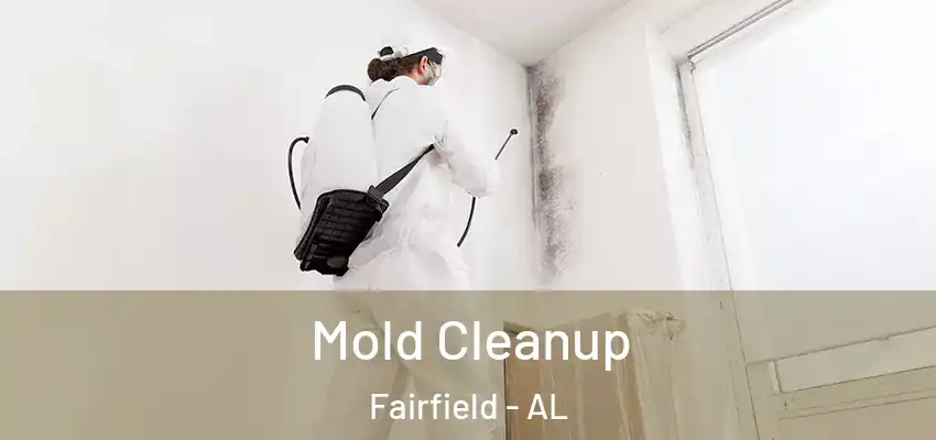  Mold Cleanup Fairfield - AL
