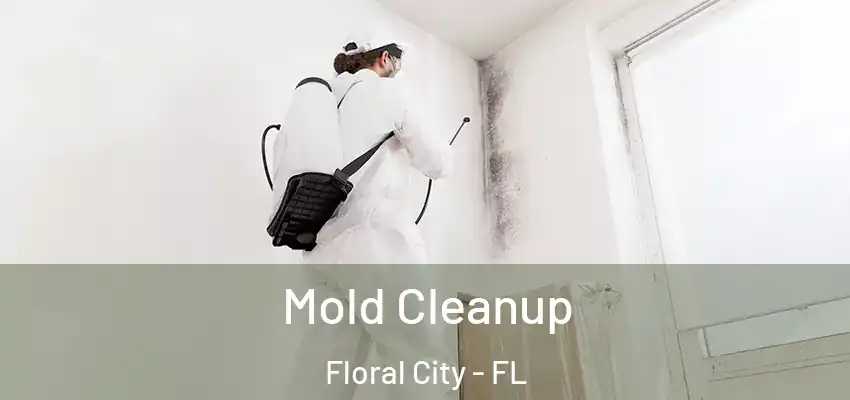  Mold Cleanup Floral City - FL