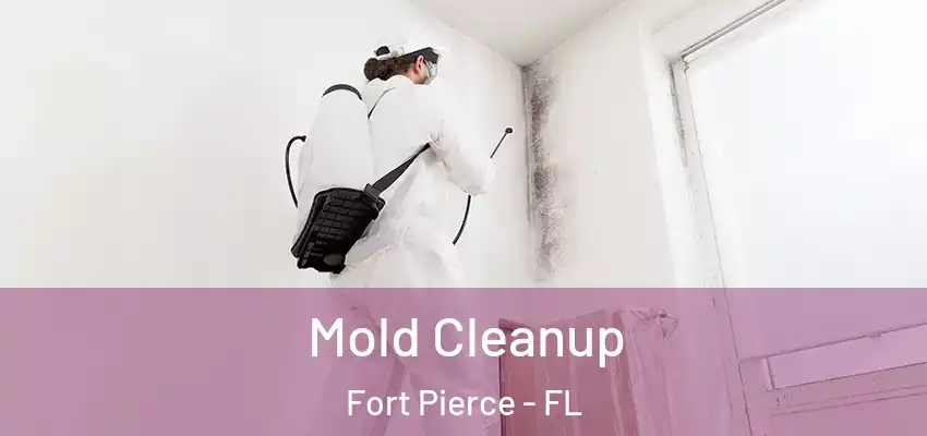  Mold Cleanup Fort Pierce - FL