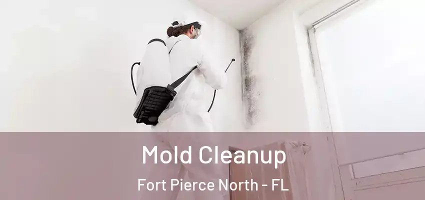  Mold Cleanup Fort Pierce North - FL