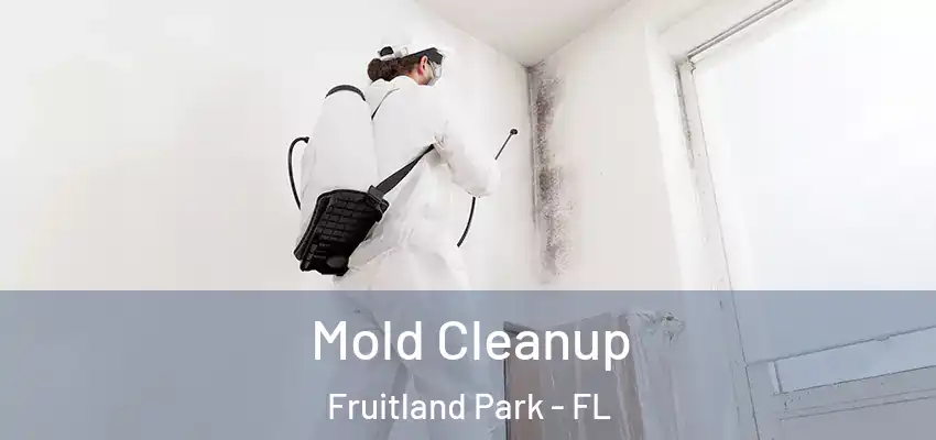 Mold Cleanup Fruitland Park - FL