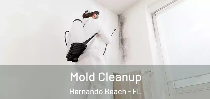 Mold Cleanup Hernando Beach - FL