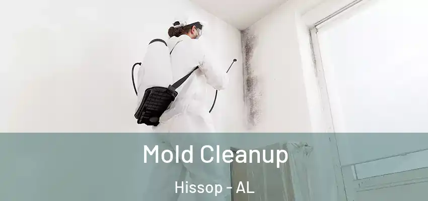 Mold Cleanup Hissop - AL