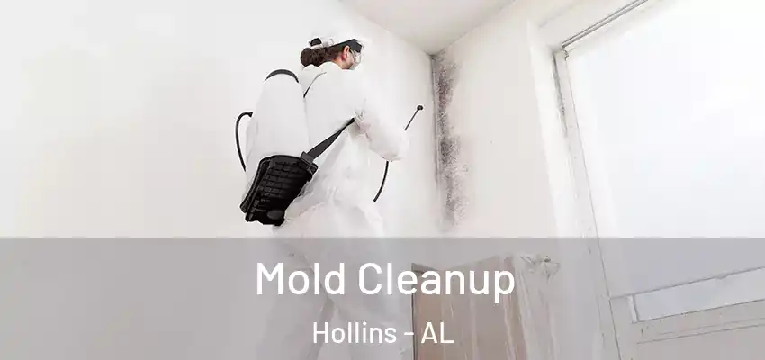 Mold Cleanup Hollins - AL