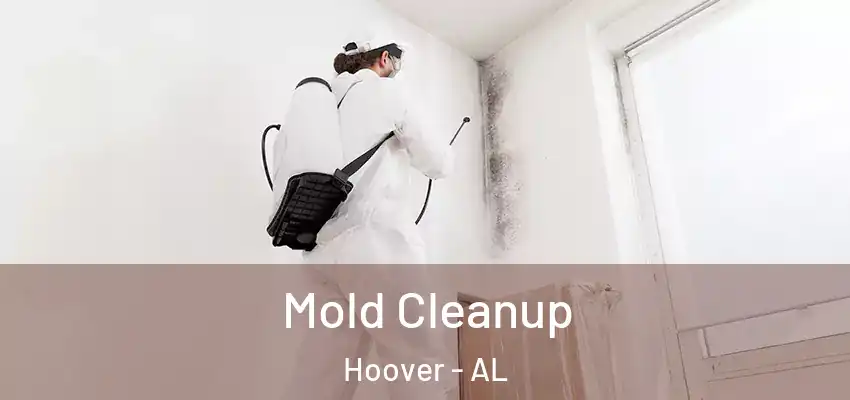 Mold Cleanup Hoover - AL
