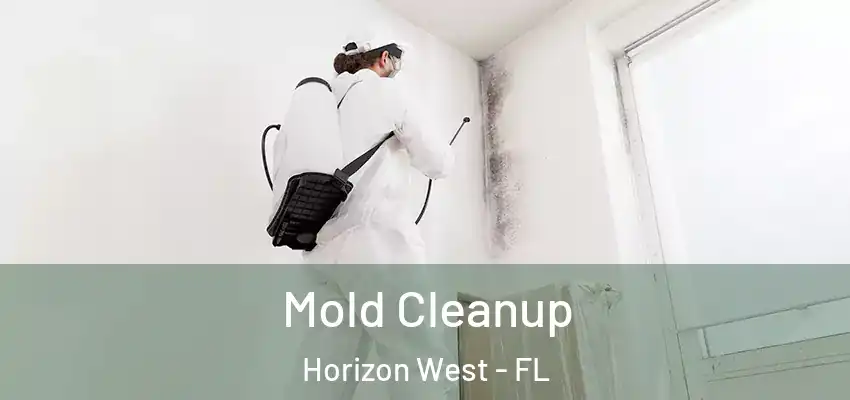 Mold Cleanup Horizon West - FL