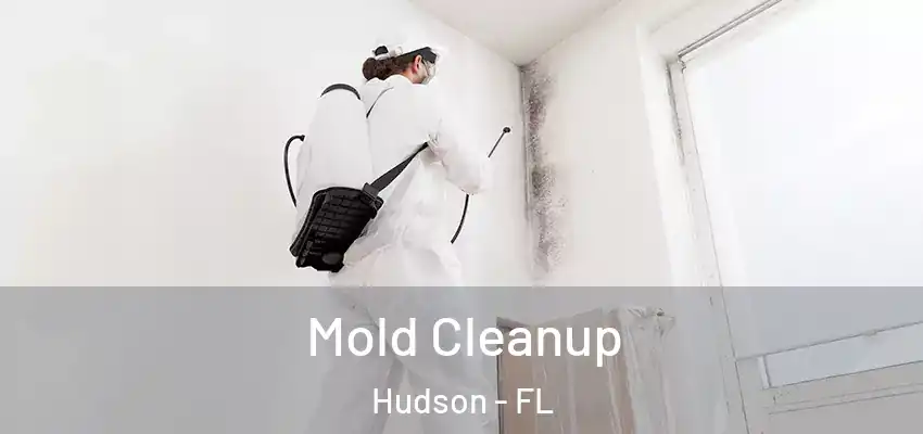 Mold Cleanup Hudson - FL