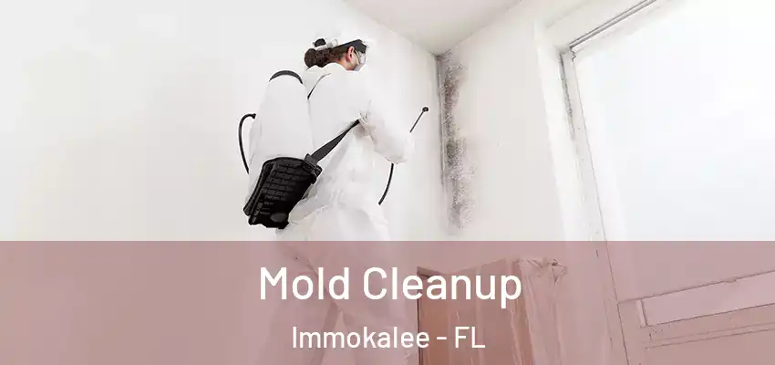  Mold Cleanup Immokalee - FL