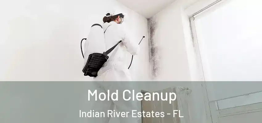 Mold Cleanup Indian River Estates - FL