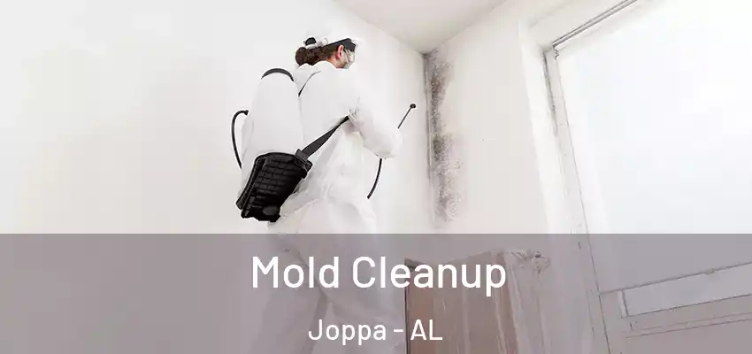  Mold Cleanup Joppa - AL