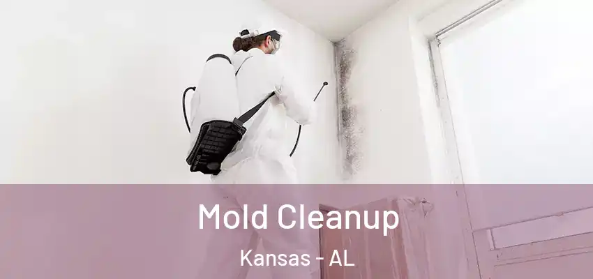 Mold Cleanup Kansas - AL