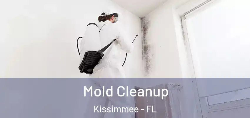 Mold Cleanup Kissimmee - FL