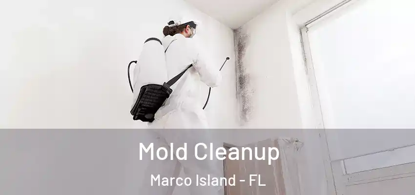 Mold Cleanup Marco Island - FL