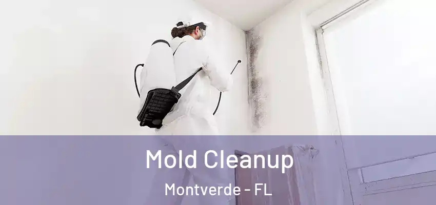  Mold Cleanup Montverde - FL