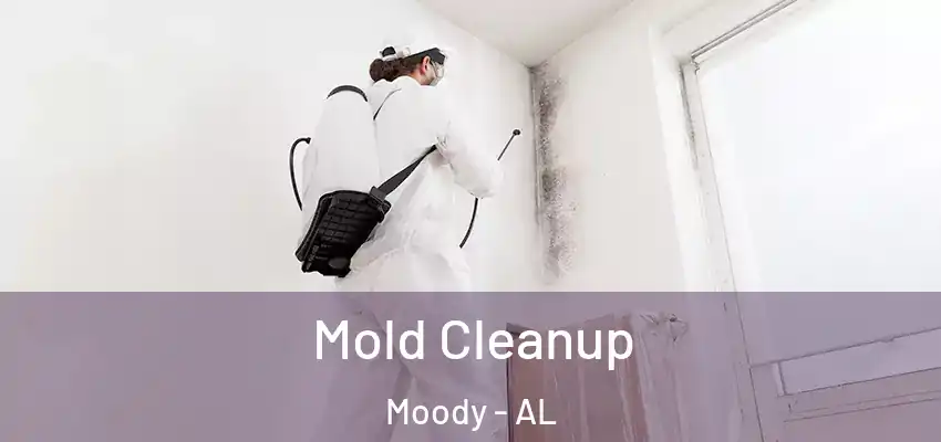Mold Cleanup Moody - AL