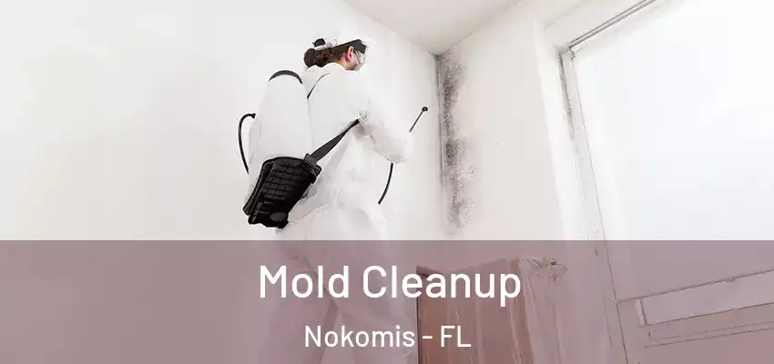 Mold Cleanup Nokomis - FL