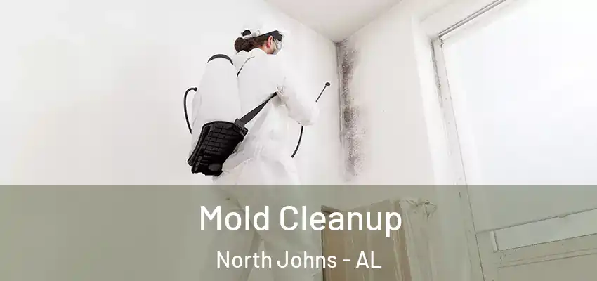Mold Cleanup North Johns - AL