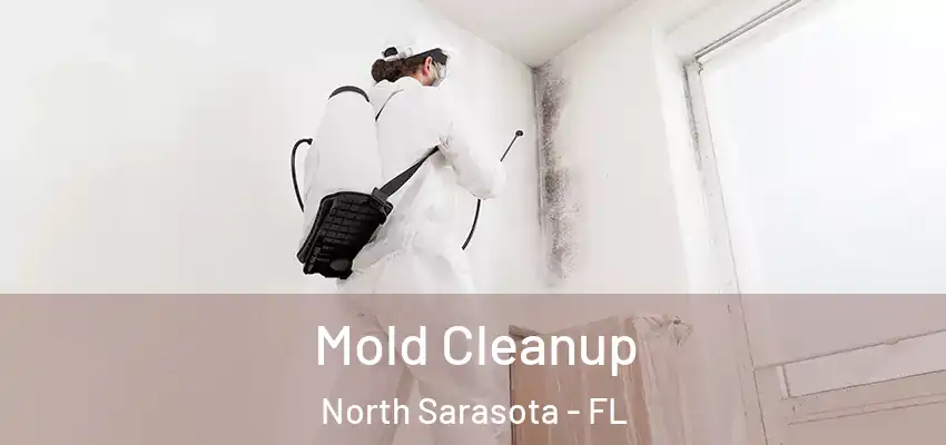  Mold Cleanup North Sarasota - FL
