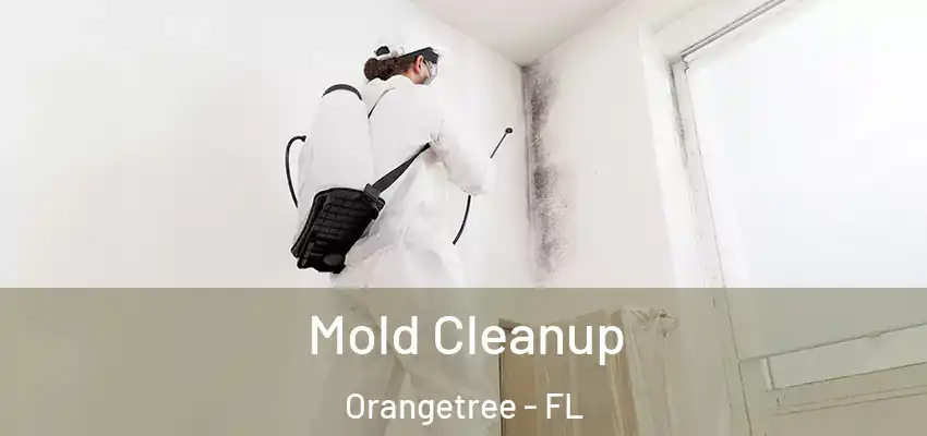 Mold Cleanup Orangetree - FL