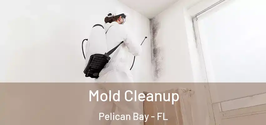 Mold Cleanup Pelican Bay - FL