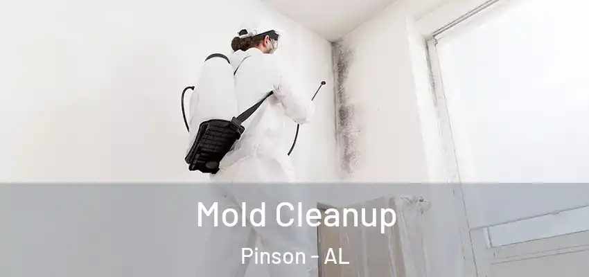 Mold Cleanup Pinson - AL