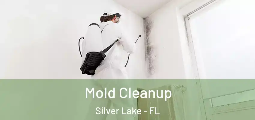 Mold Cleanup Silver Lake - FL