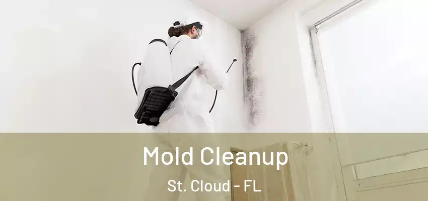 Mold Cleanup St. Cloud - FL