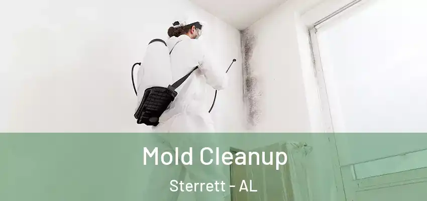  Mold Cleanup Sterrett - AL