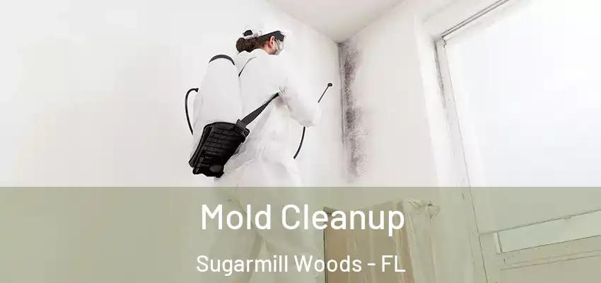 Mold Cleanup Sugarmill Woods - FL