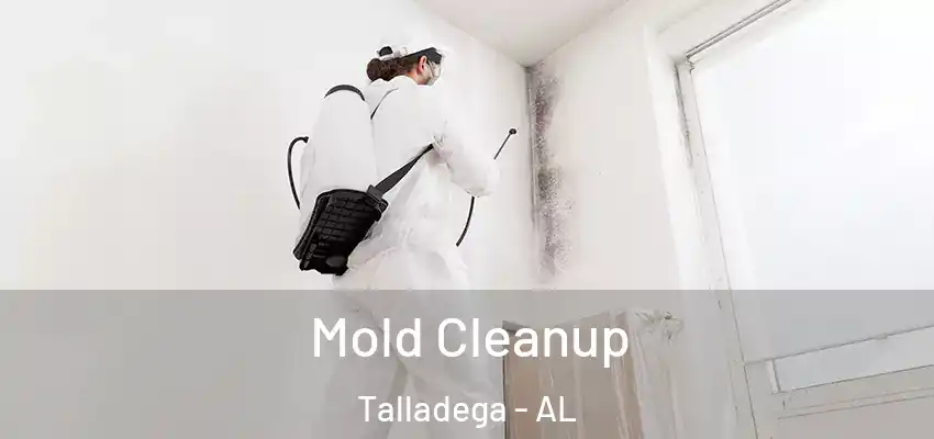 Mold Cleanup Talladega - AL