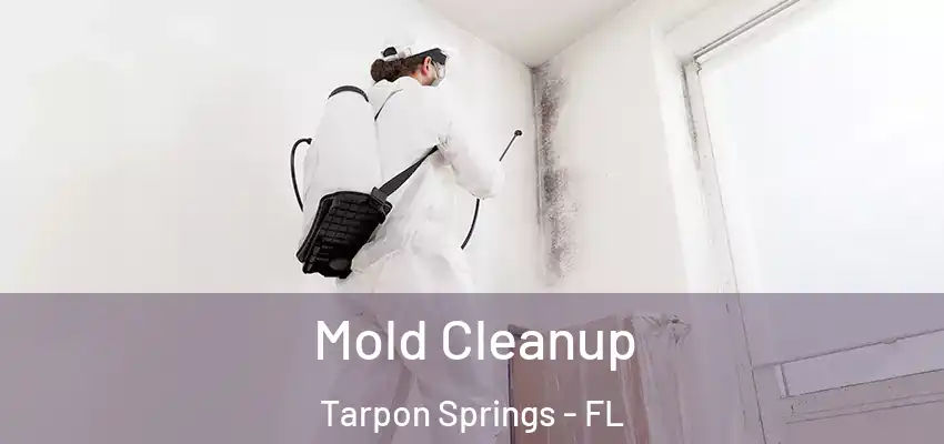 Mold Cleanup Tarpon Springs - FL