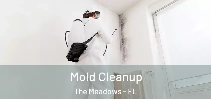  Mold Cleanup The Meadows - FL