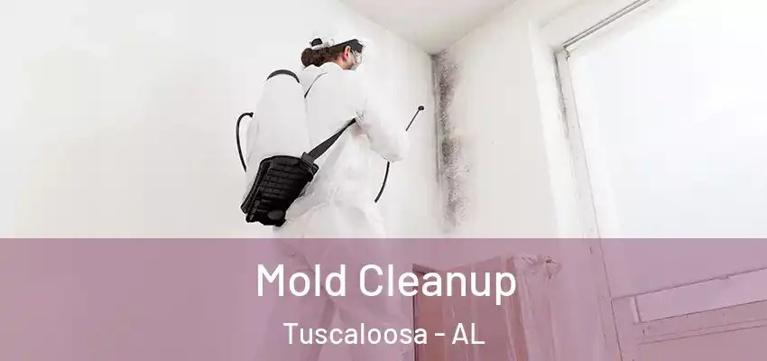 Mold Cleanup Tuscaloosa - AL