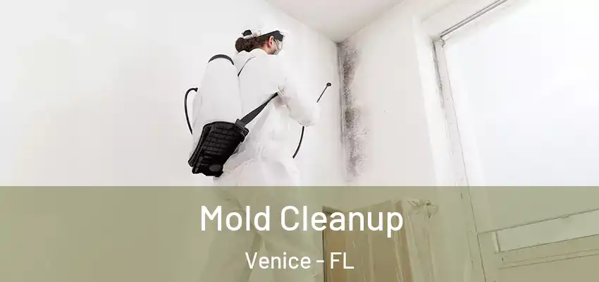  Mold Cleanup Venice - FL