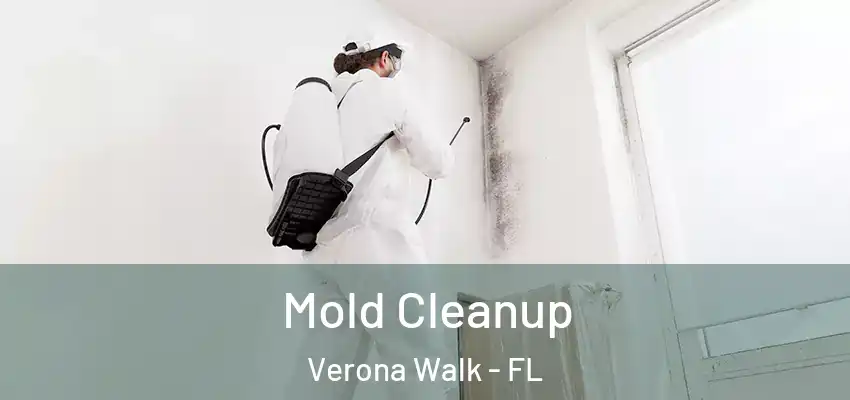  Mold Cleanup Verona Walk - FL